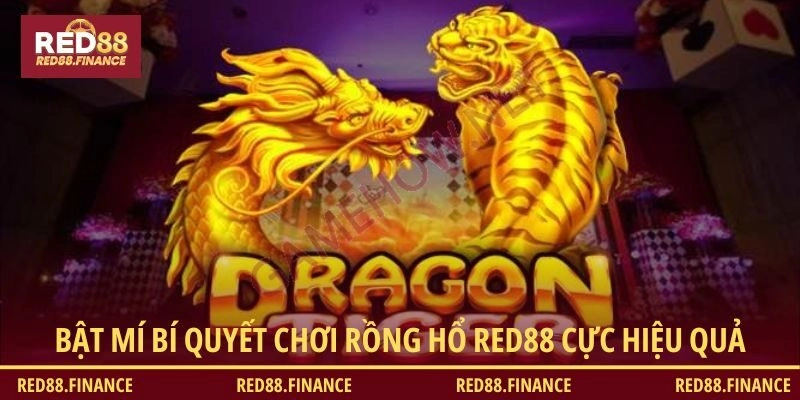 Bật mí bí quyết chơi Rồng Hổ RED88 cực hiệu quả