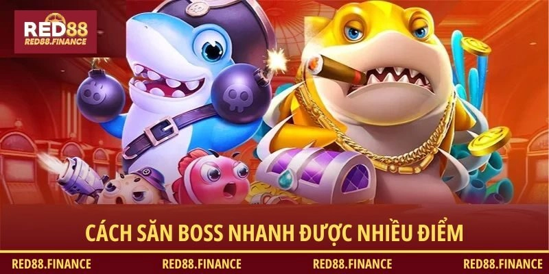 Cách săn boss nhanh được nhiều điểm