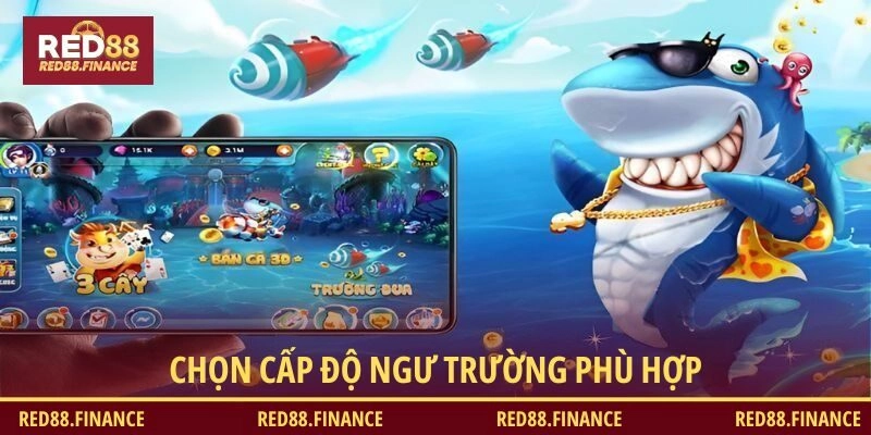 Chọn cấp độ ngư trường phù hợp