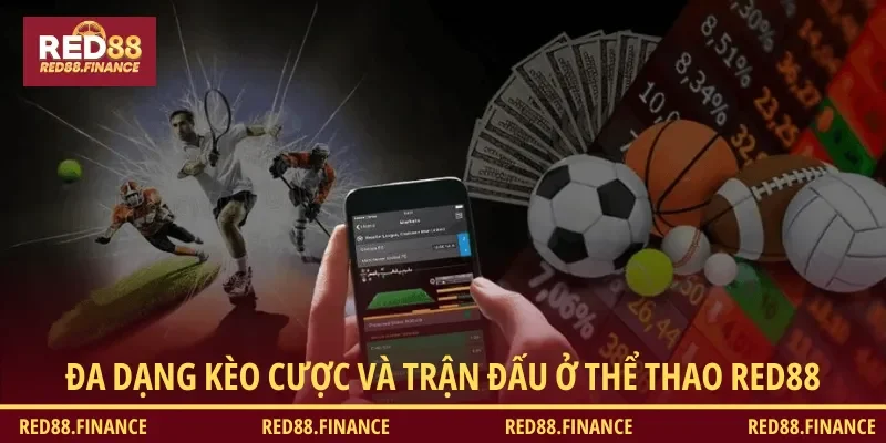 Đa dạng kèo cược và trận đấu có tại Thể thao RED88