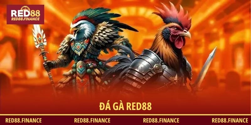 Đá gà RED88