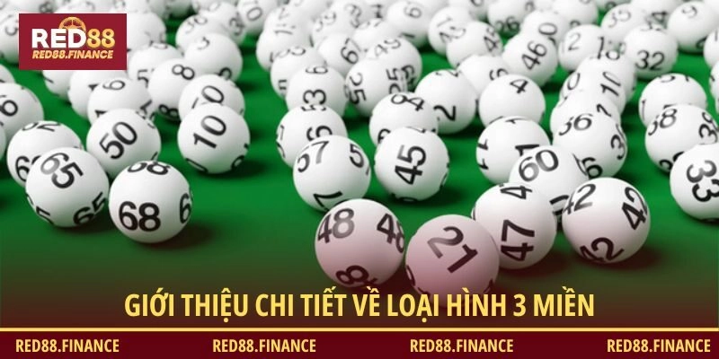 Giới thiệu chi tiết về loại hình 3 miền