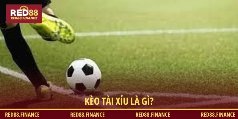 Kèo tài xỉu là gì? Giới thiệu dành cho người mới