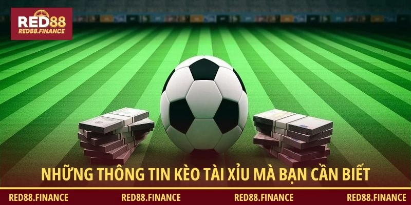 Kèo tài xỉu - Những điều người chơi cần biết 