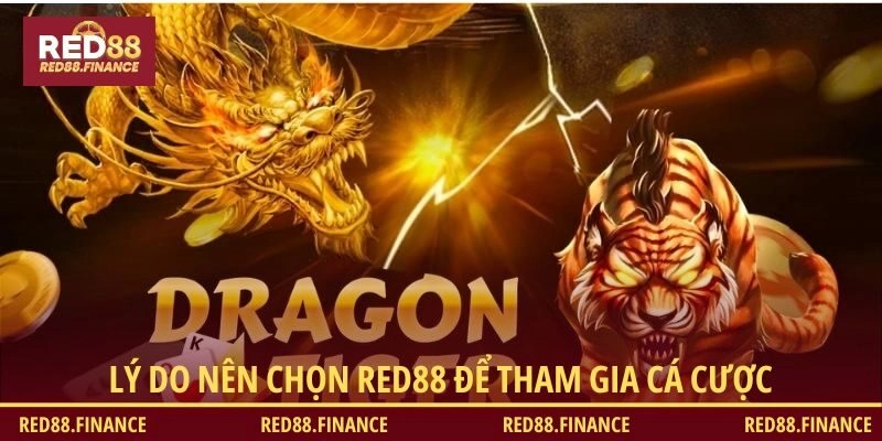 Lý do nên chọn RED88 để tham gia cá cược