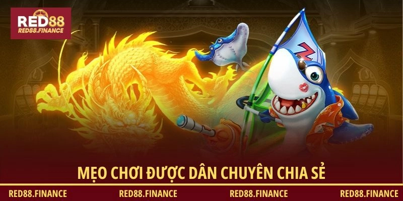 Mẹo chơi được dân chuyên chia sẻ