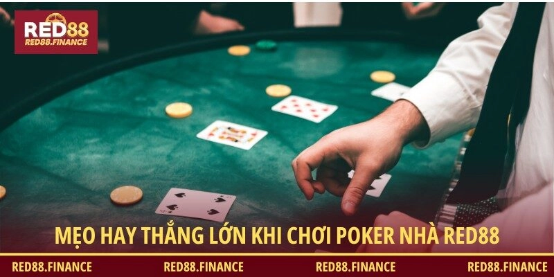 Những tip hay đừng bỏ lỡ khi chơi Xì Tố nhà cái