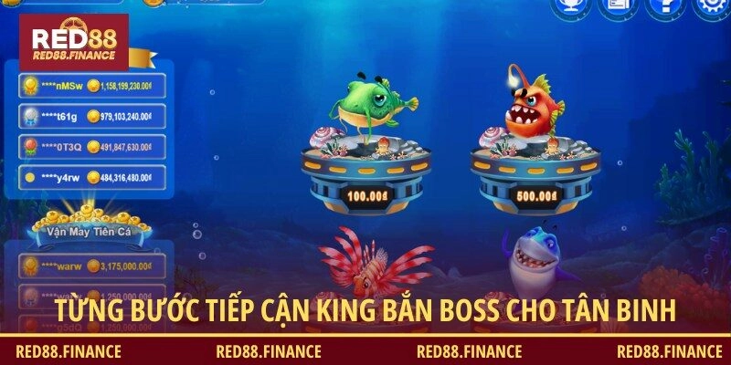Cẩm nang làm quen King săn boss dành cho tân binh