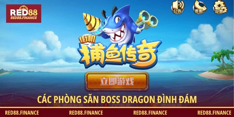 Tổng hợp các phòng săn boss Rồng nổi tiếng hiện nay
