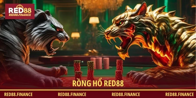 Quy tắc Rồng Hổ RED88