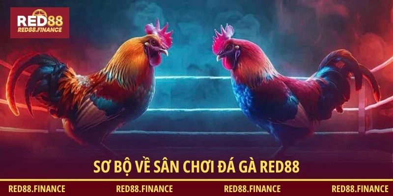 Sân chơi siêu thú vị, thưởng lớn mỗi ngày