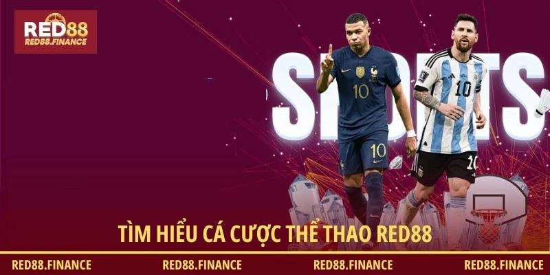 Tìm hiểu cá cược thể thao RED88